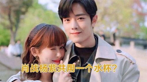 最新爆料肖战杨紫视频,幕后真相引网友热议 第2张 最新爆料肖战杨紫视频,幕后真相引网友热议 第2张